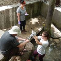 Dr. Ryan Vannier, Maria Beelen, and MacKenzie Kraft taking water samples near Bastien, Haiti